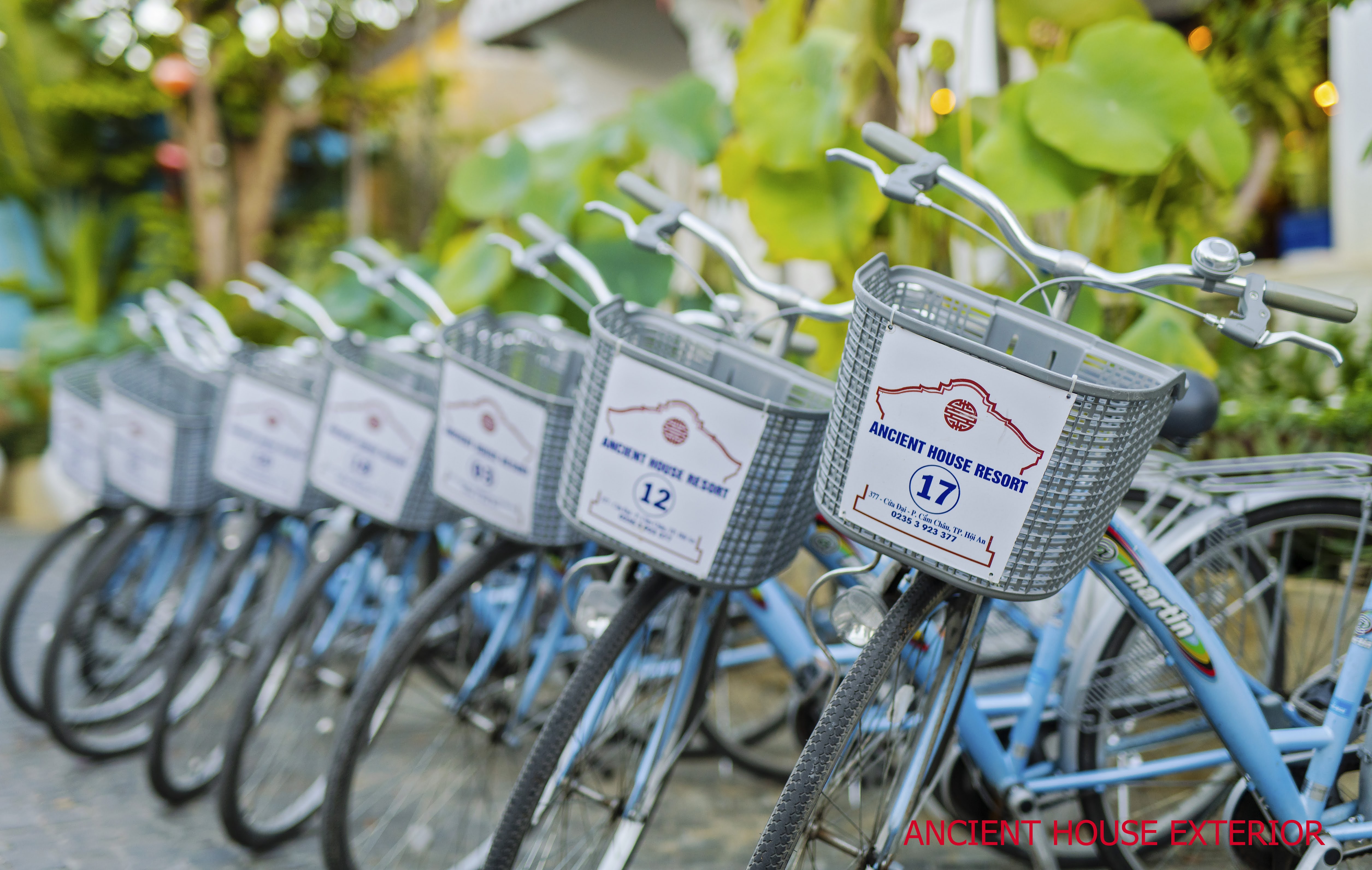 Hoi An Ancient House (7)