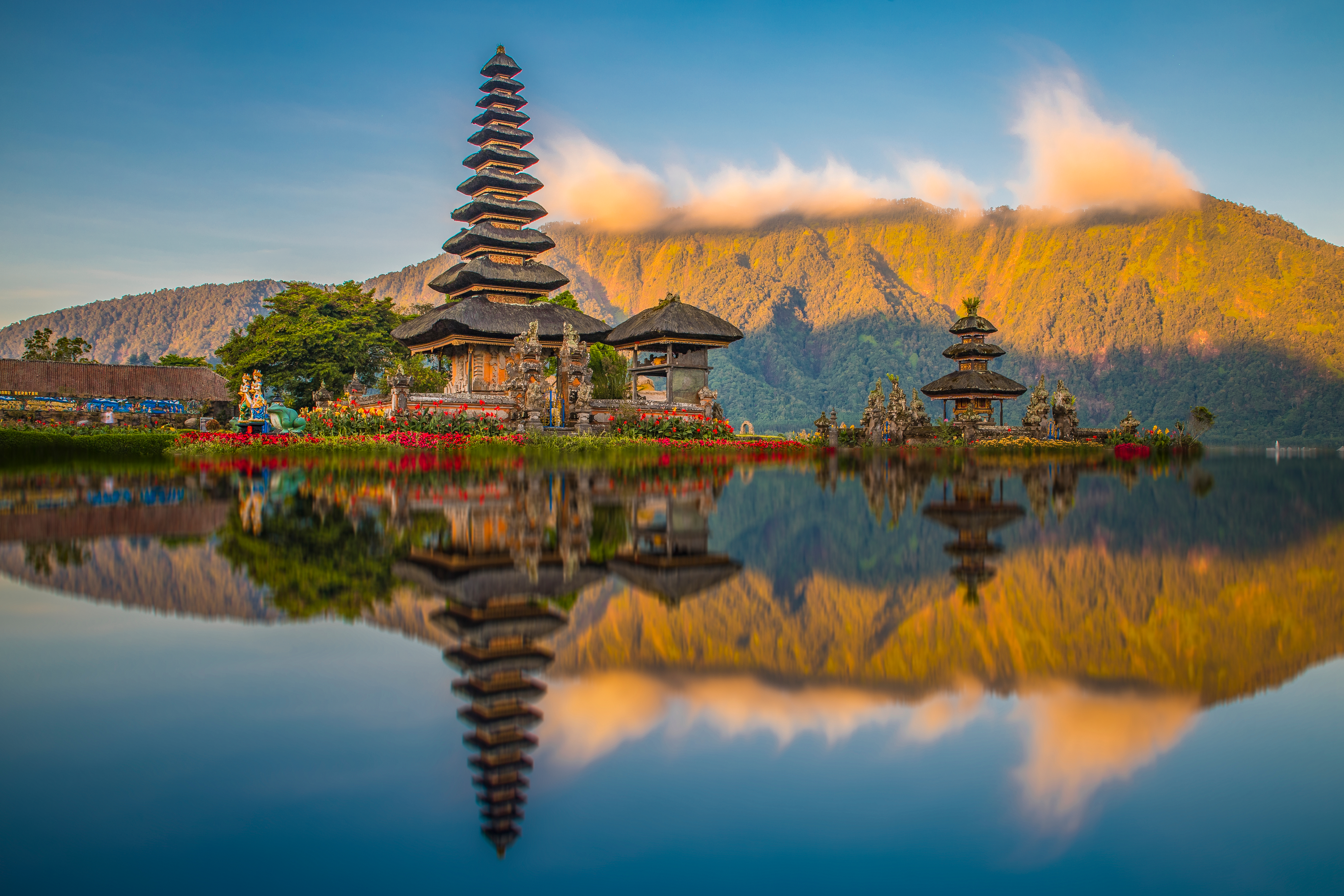 Shutterstock 1733013296