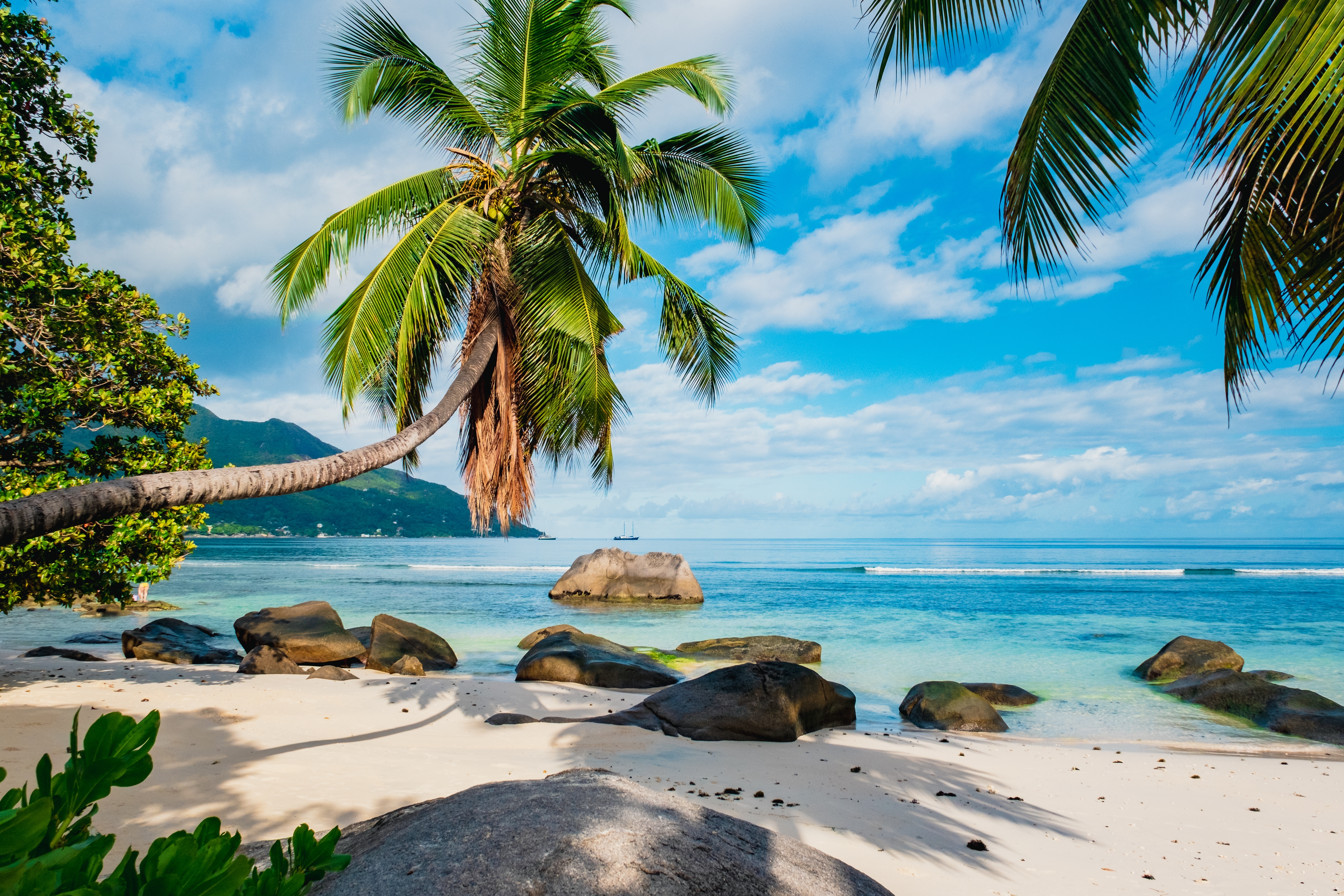 Shutterstock 2218658517 Tropical Paradise Beach With Palm Trees, White Sand And Beautiful Rocks At Mahe Seychelles. Beau Vallon Beach.
