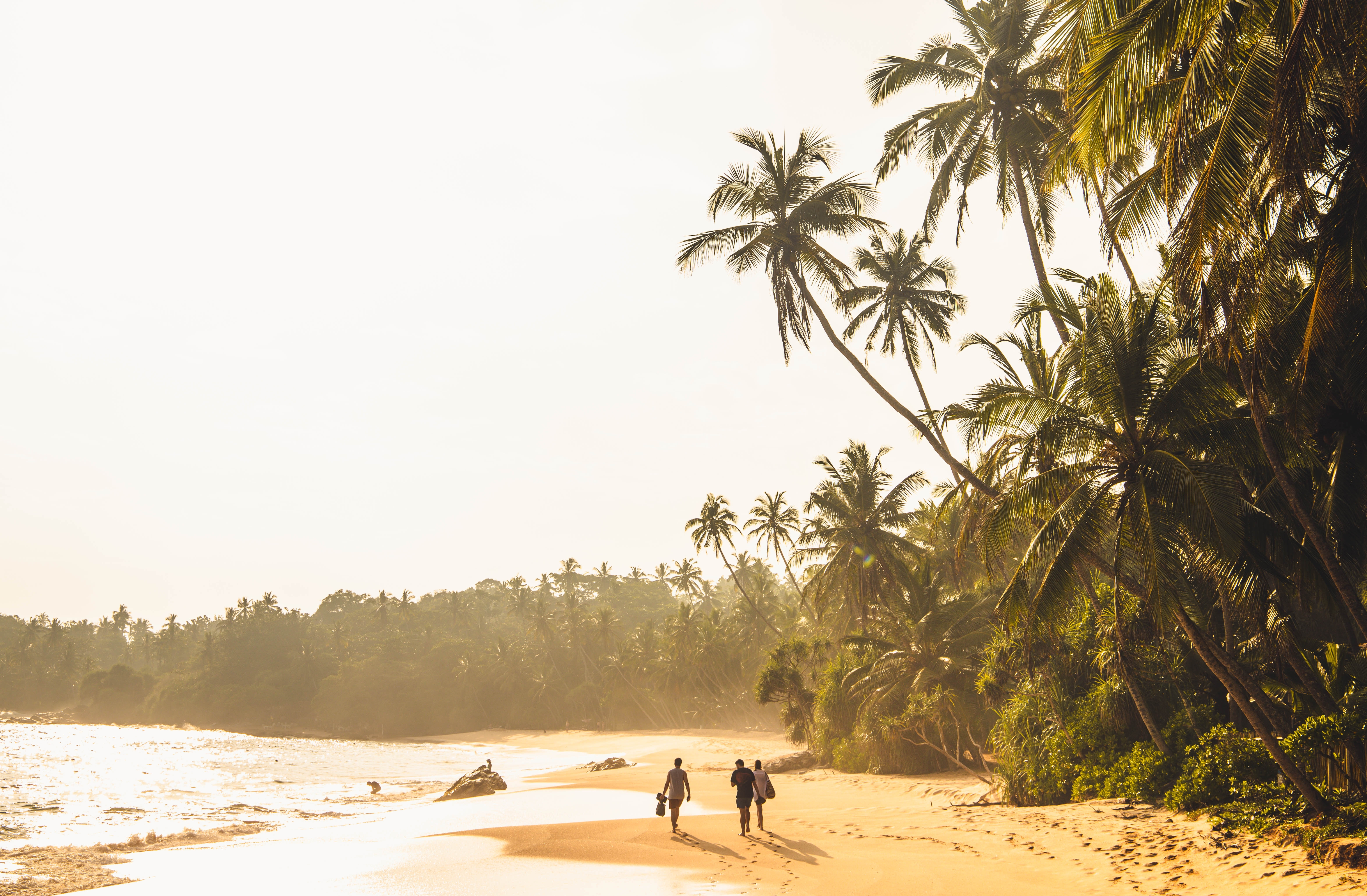 Shutterstock 2248357167 (Three People Walking In A Scenic Coconut Beach At Sunset Time. Silent Beach, Tangalle, Sri Lanka) (1)