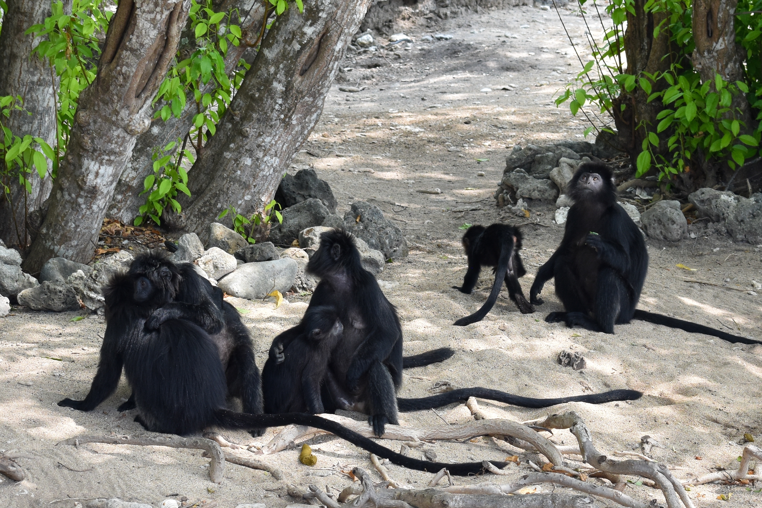 Shutterstock 2491470349 (1)