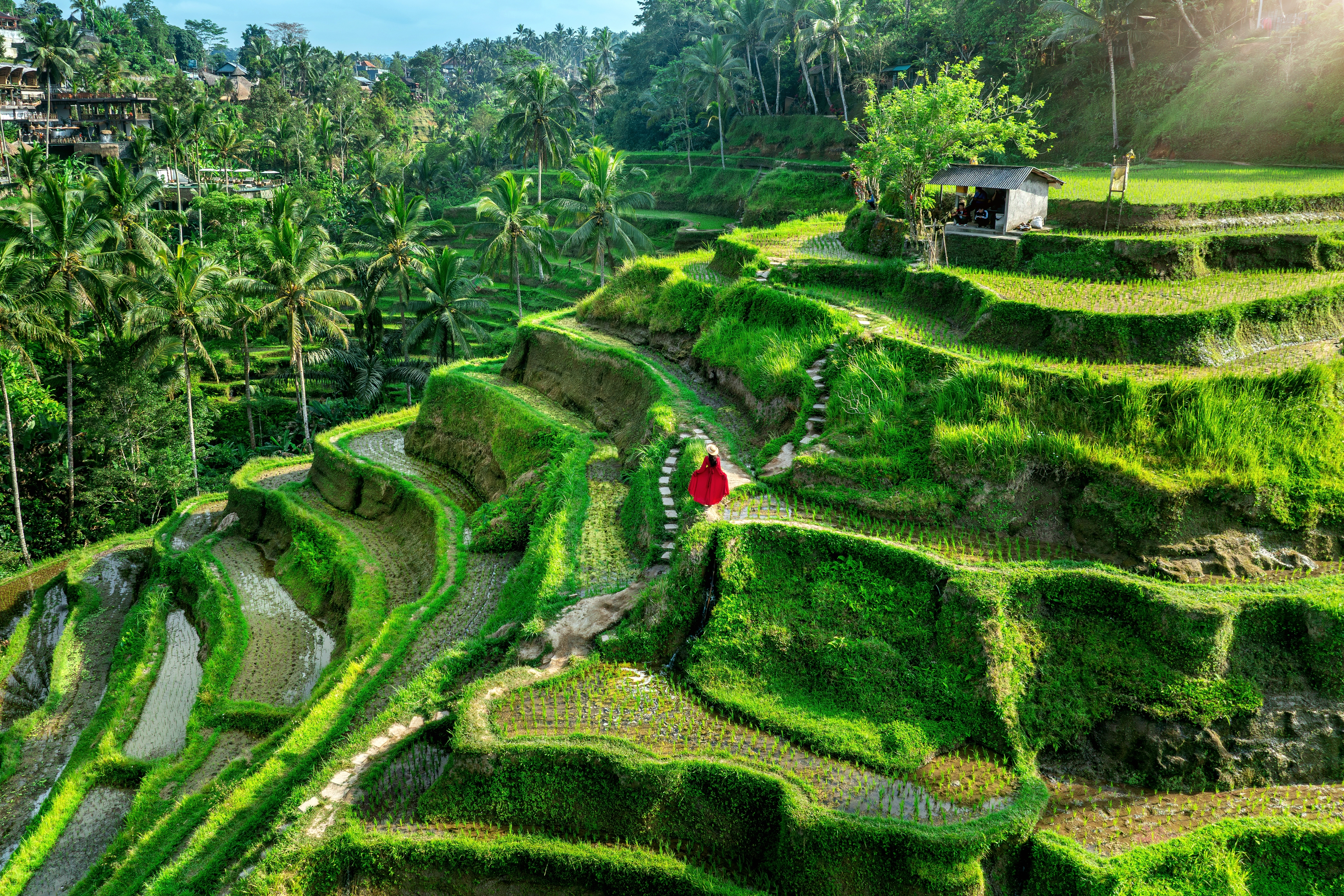 Tegallalang Bali Shutterstock 2478946463