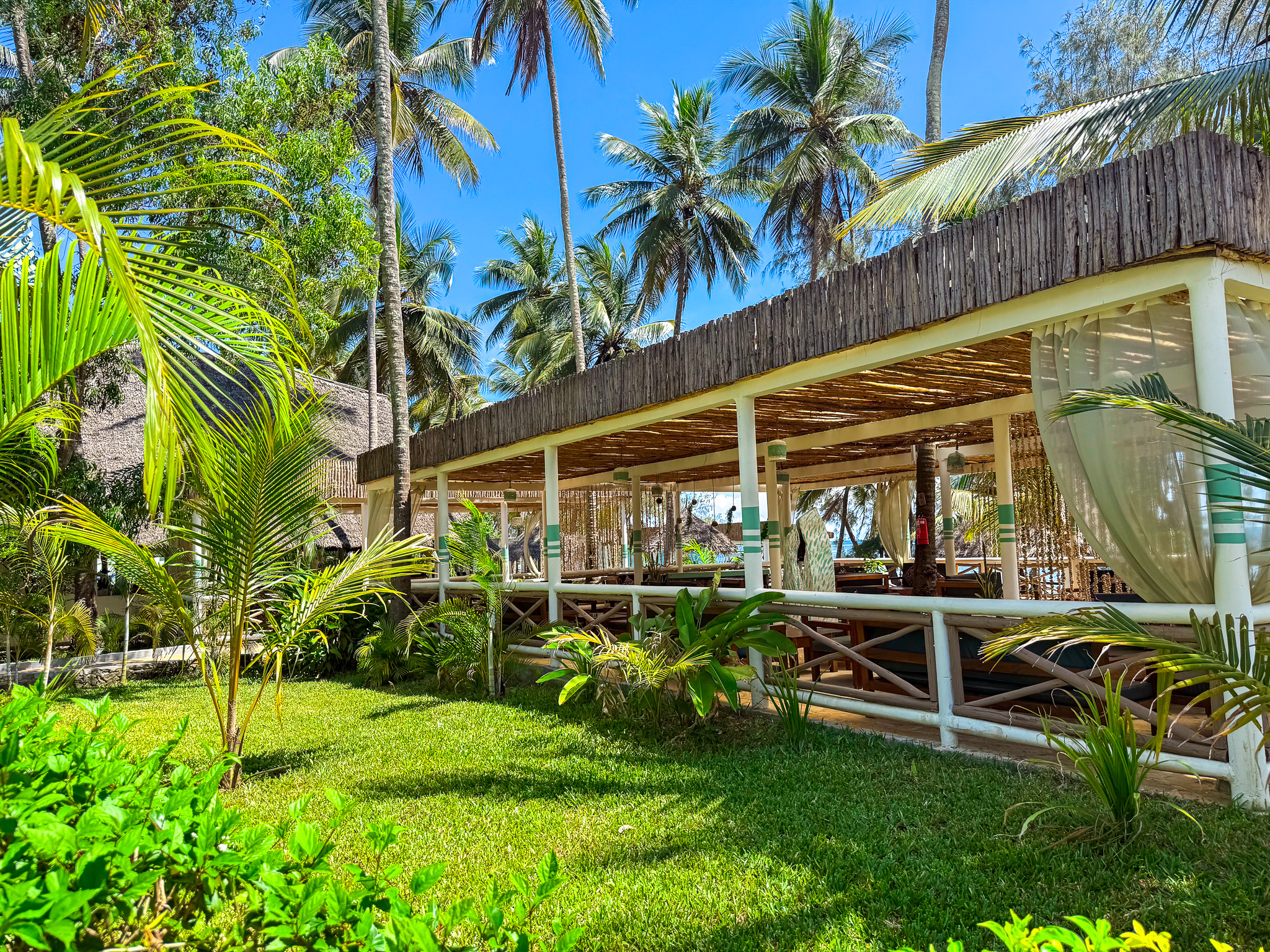 Coconut Bar 54978462887 O