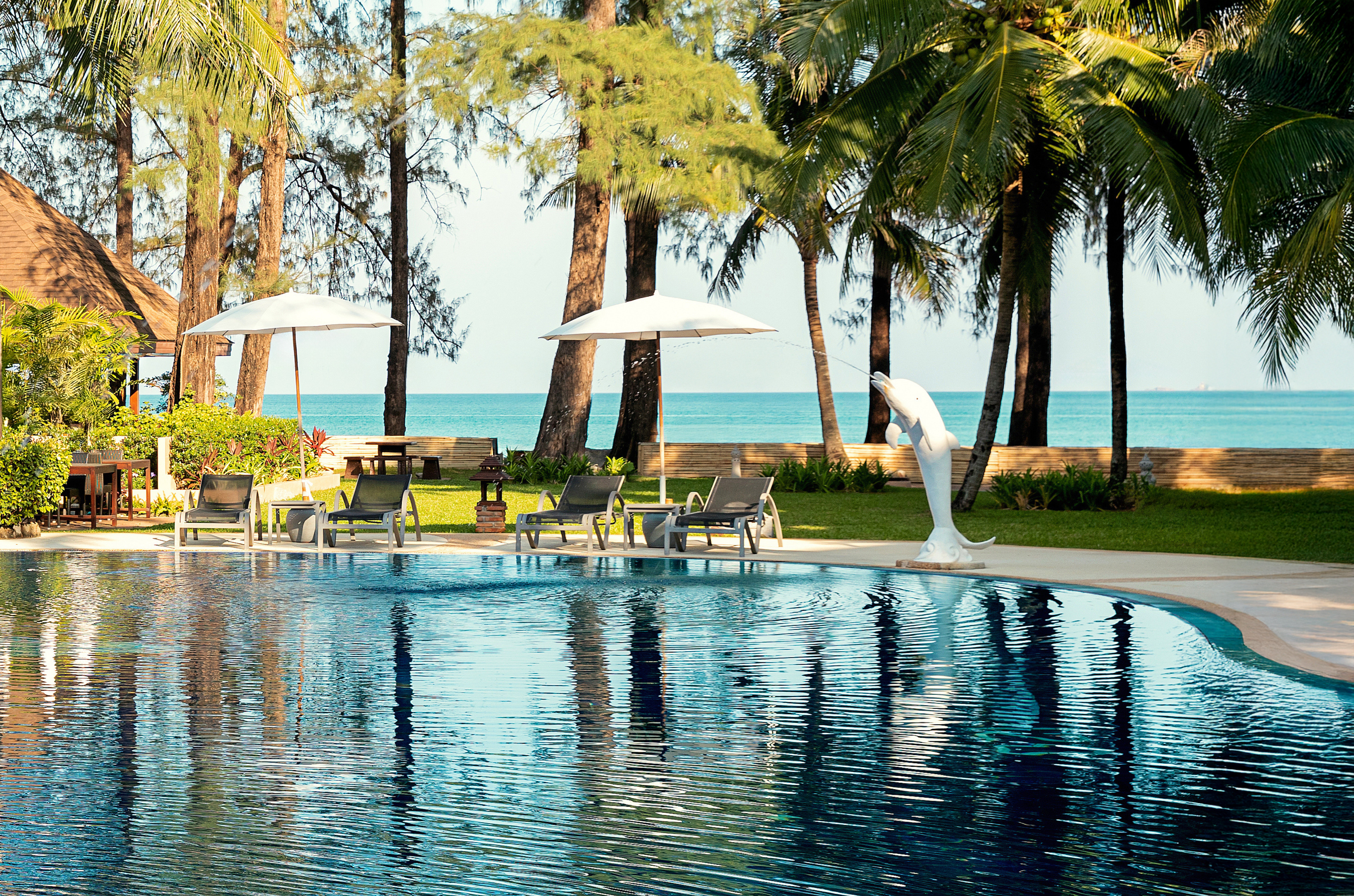 Pool Beach View 54972879765 O