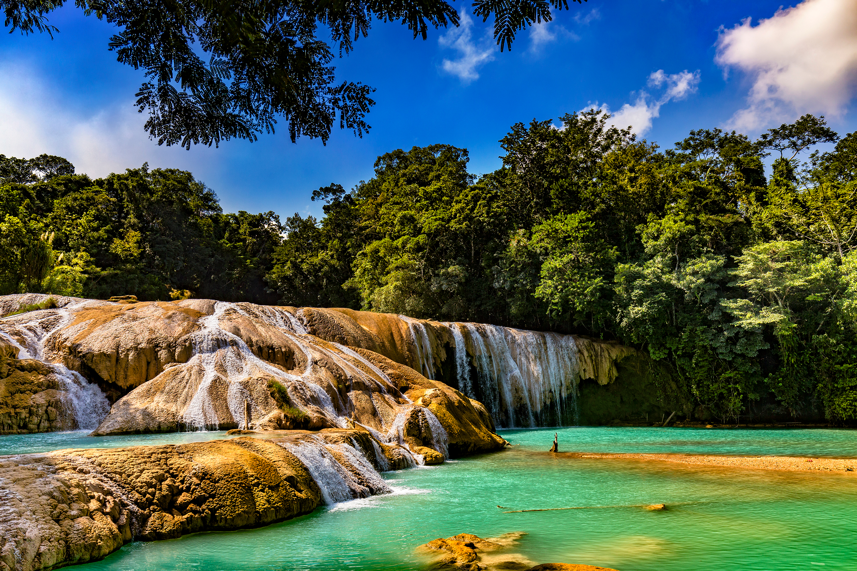 Shutterstock 1008433612 Mexico. The Agua Azul Cascades
