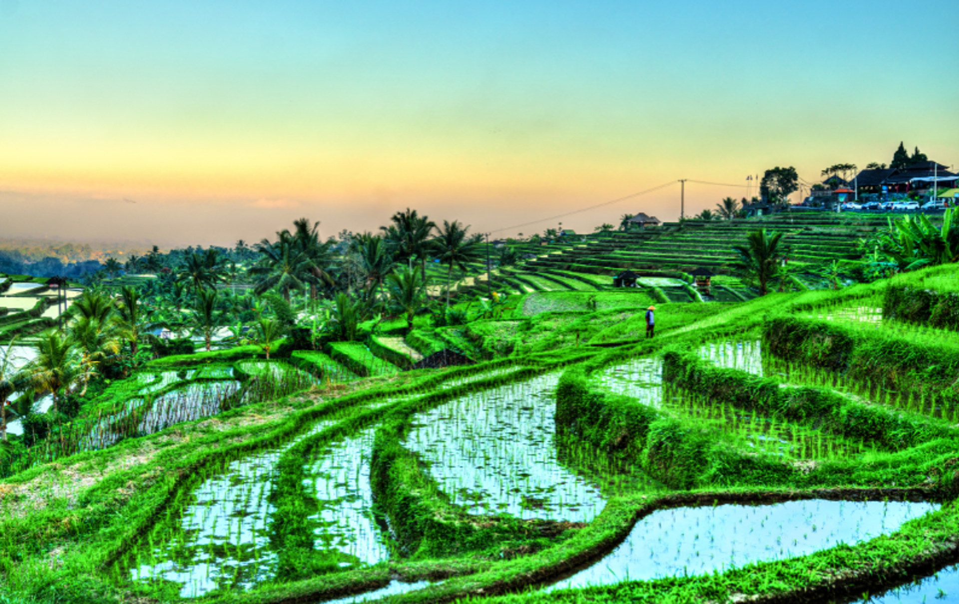 Jatiluwih (2)