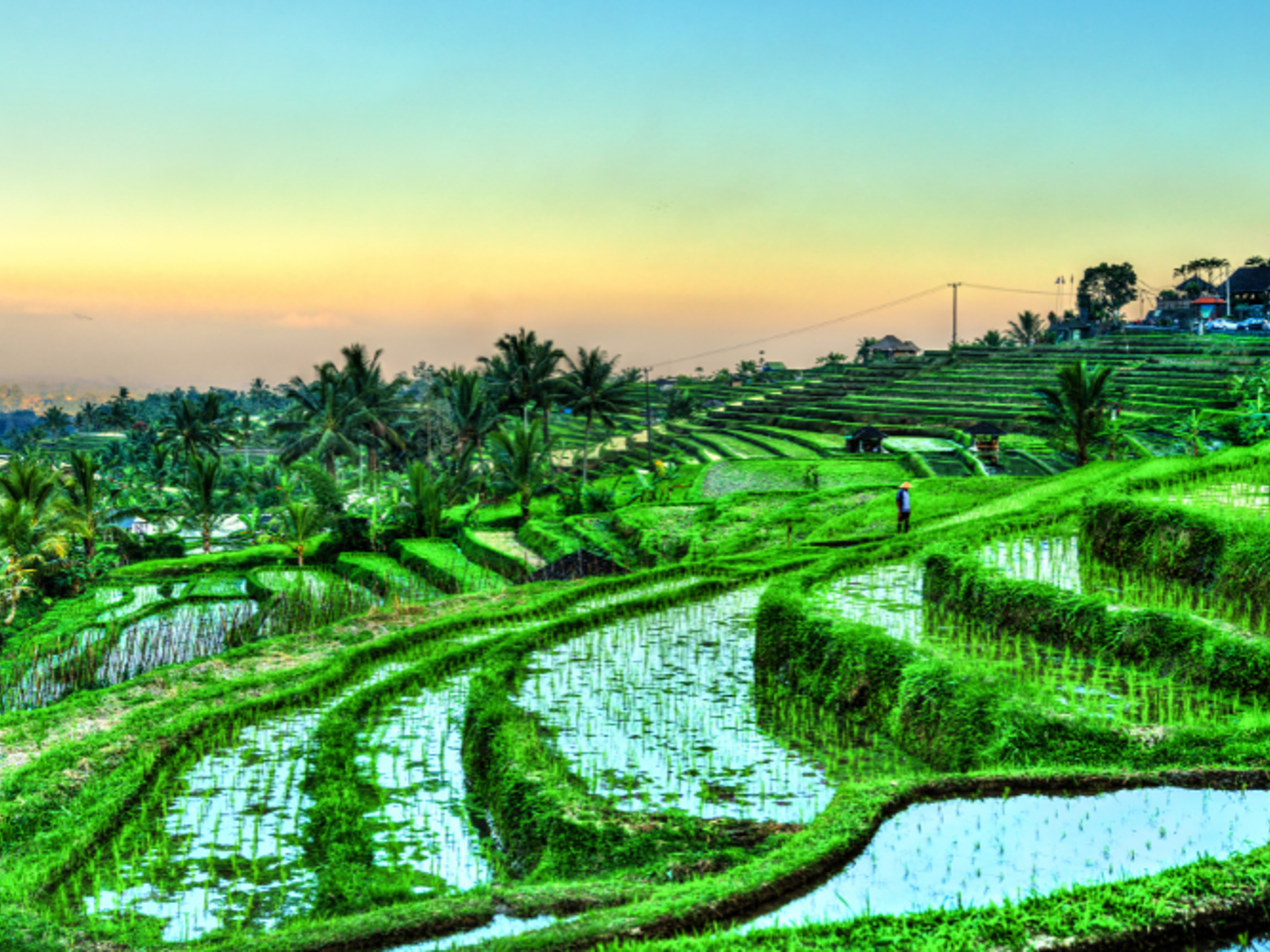 Jatiluwih (2)