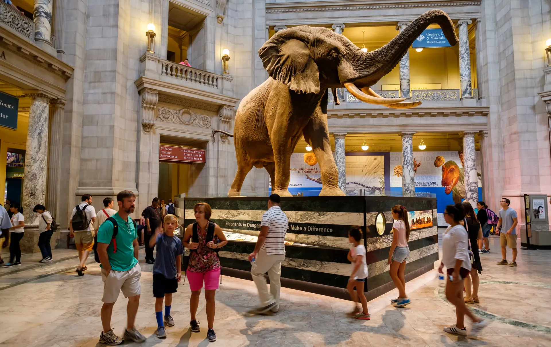 Shutterstock 488066176 WASHINGTON D.C.,USA AUGUST 11,2016 Visitors At The Main Hall Of The National Museum Of Natural History In Washington D.C.