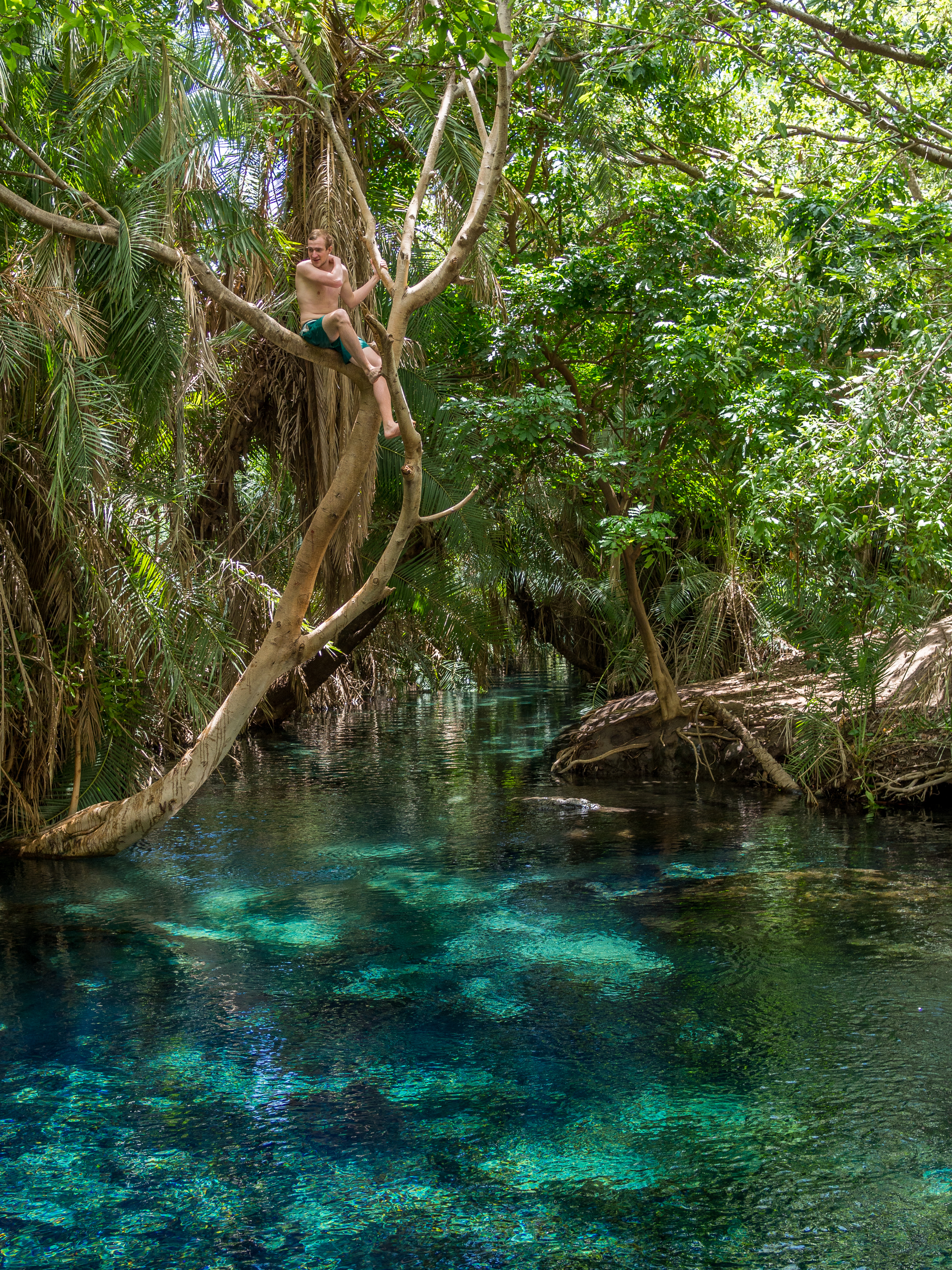 Maji Moto Lake Manyara Tanzania Shutterstock 732246910