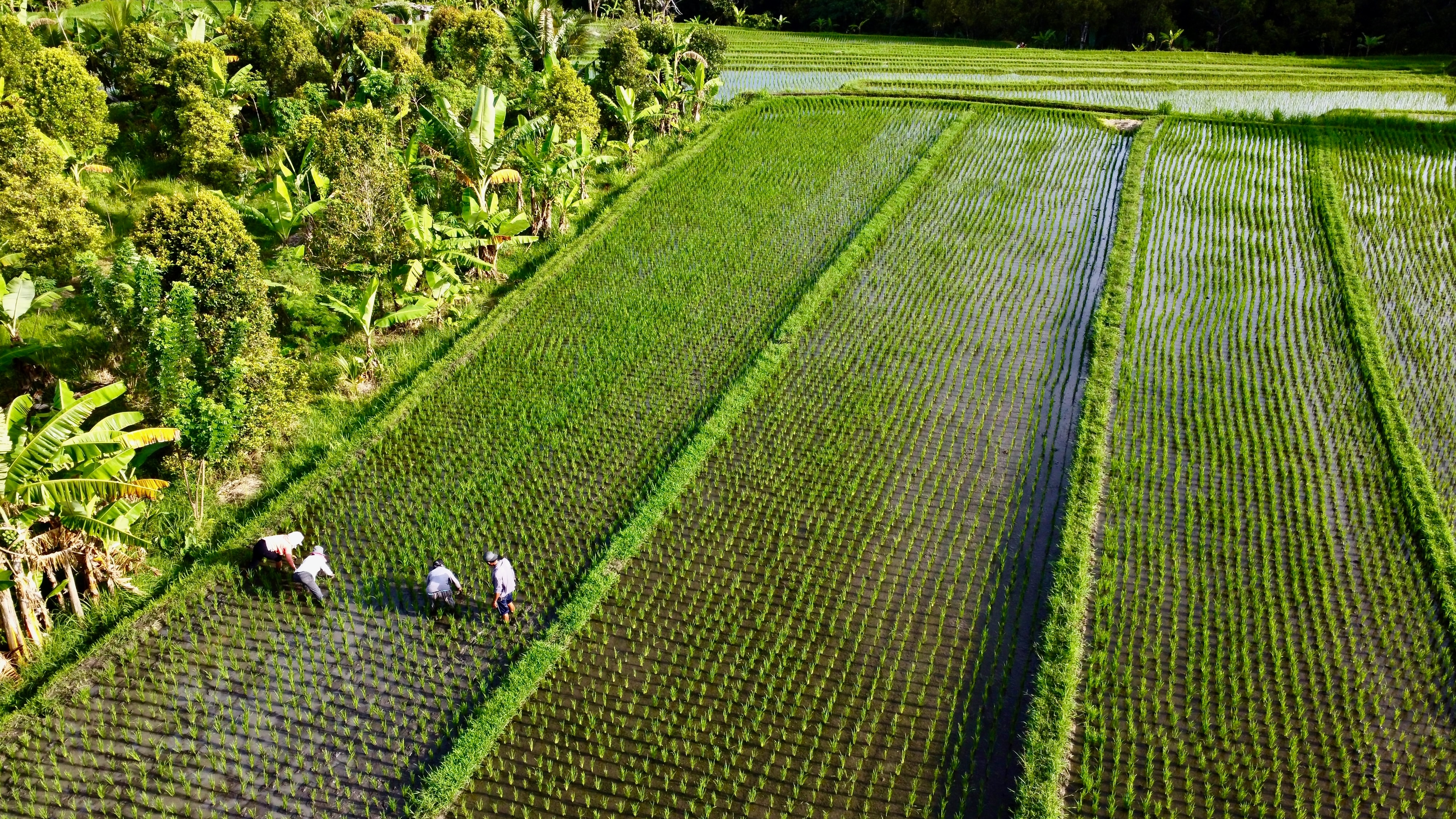 Munduk Bali Shutterstock 2235288855