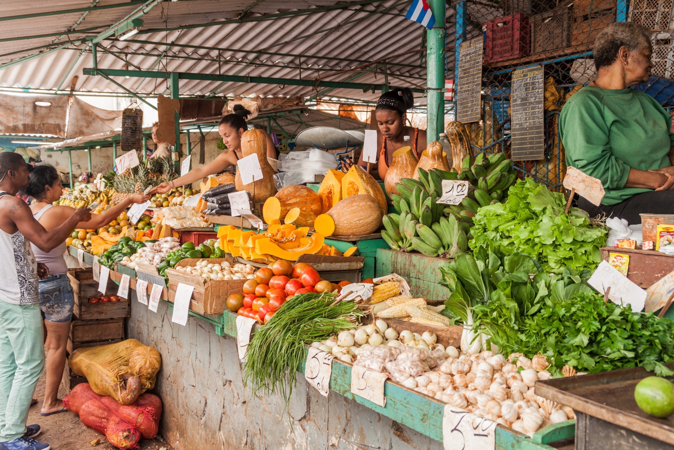Shutterstock 444581098 Market Centro Havana