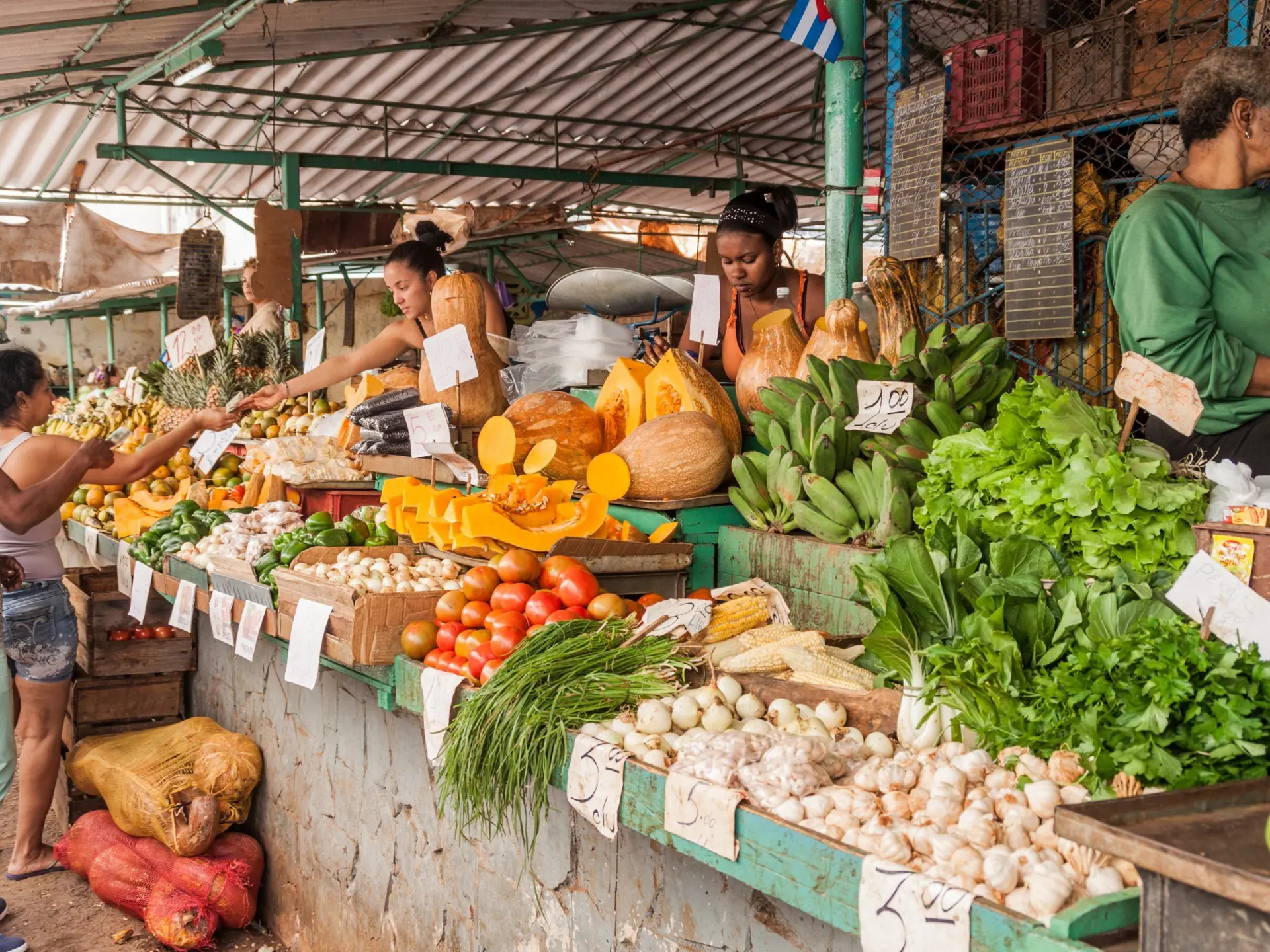 Shutterstock 444581098 Market Centro Havana