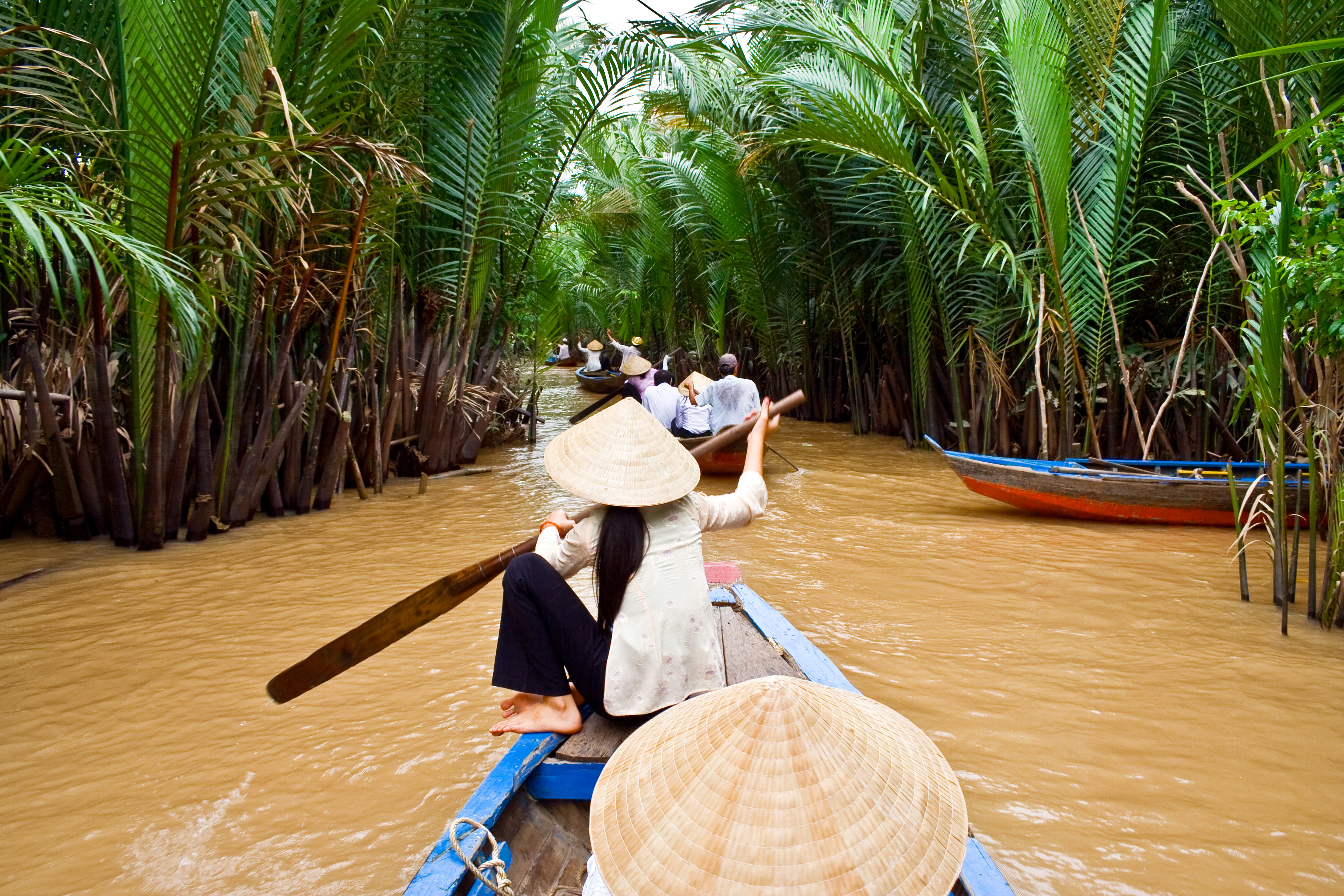 Vietnam Vietnamese Woman Rowing A Boat In Mekong River 36490156