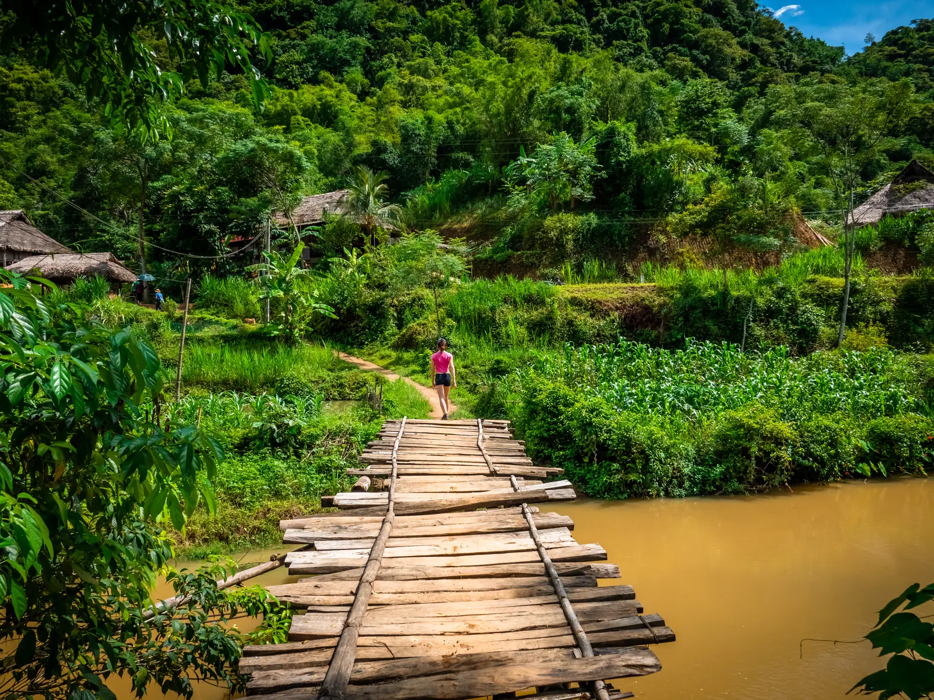 Shutterstock 1501565858