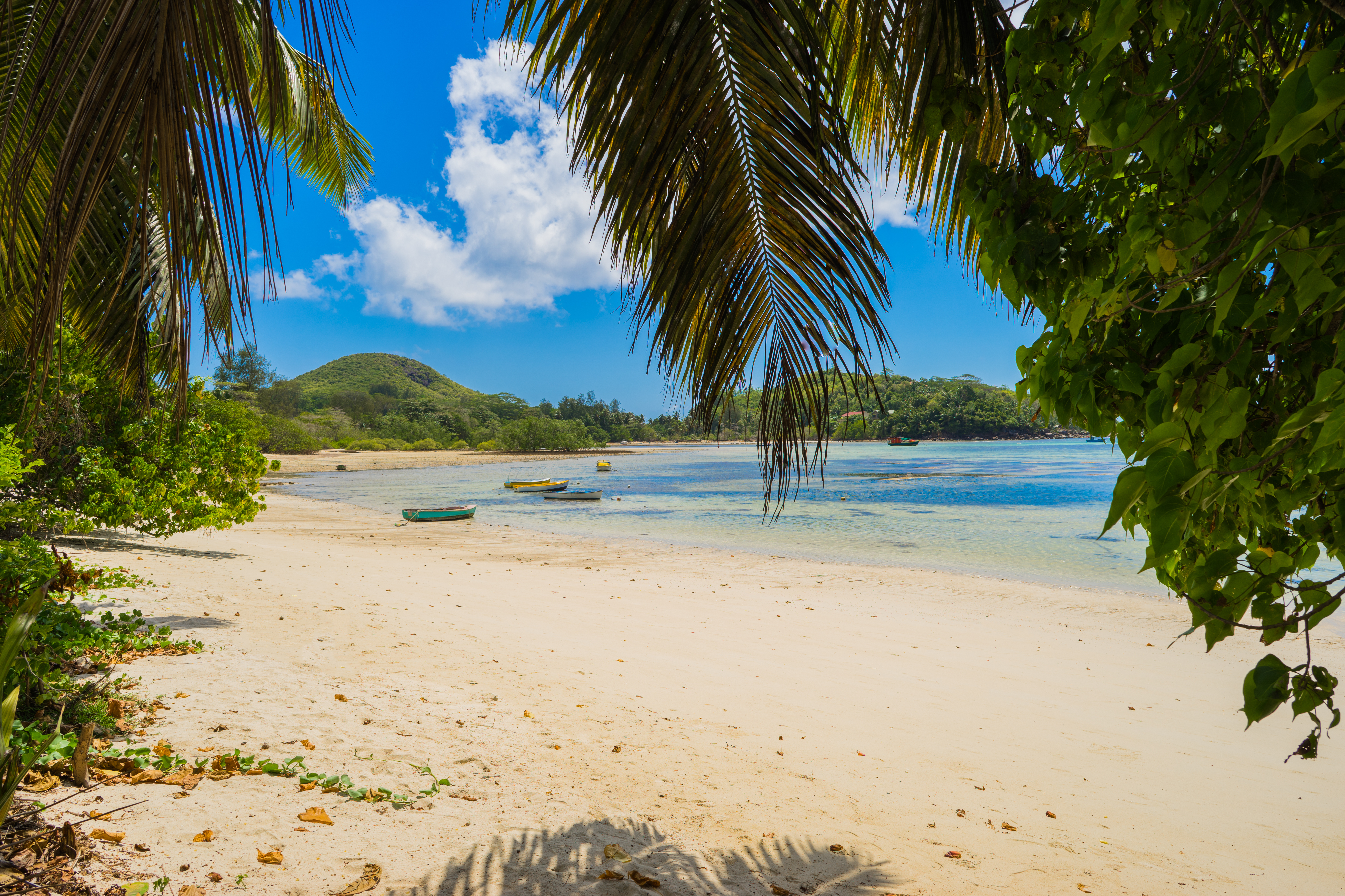 Shutterstock 504532693 Fisherman's Boat Docked By The Beach Of Anse Boileau In Seychelles Island